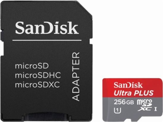 256GB MicroSD Card with Adapter - Class 10